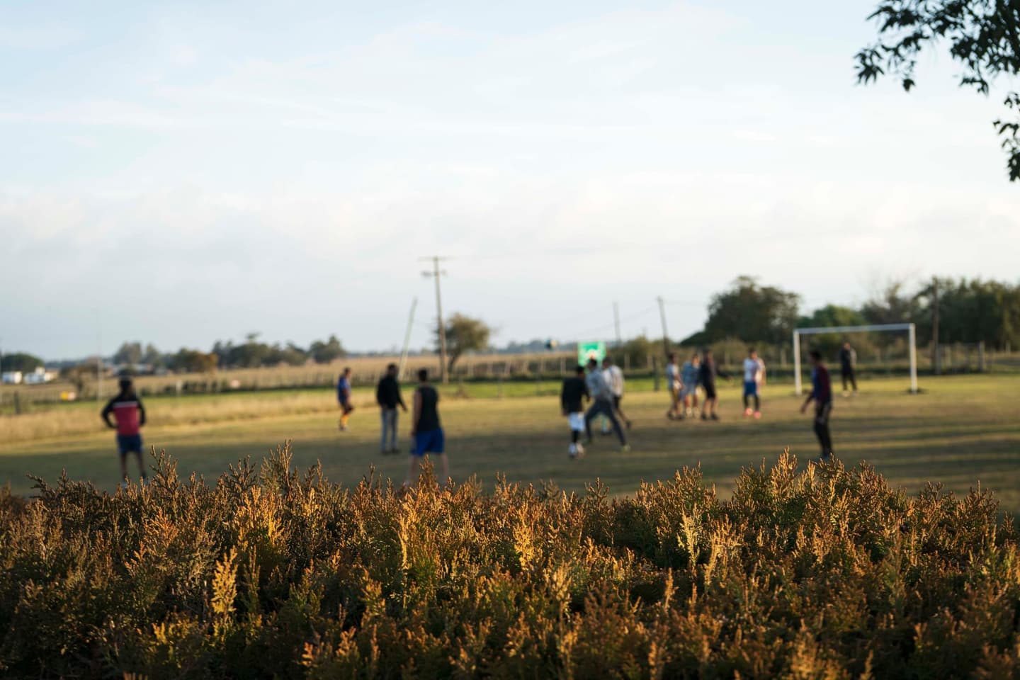 Actividades recreativas al aire libre